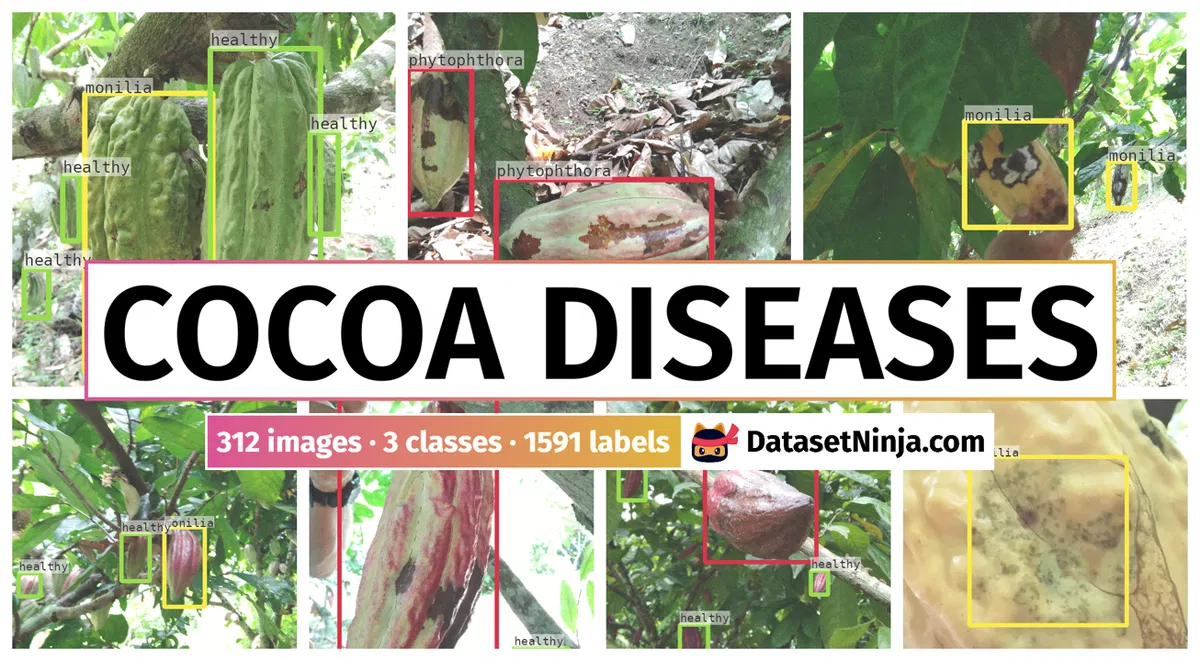 Projet Dashboard Financier